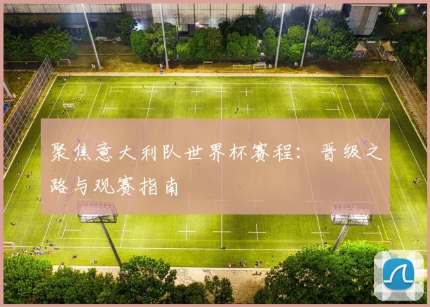 聚焦意大利队世界杯赛程：晋级之路与观赛指南