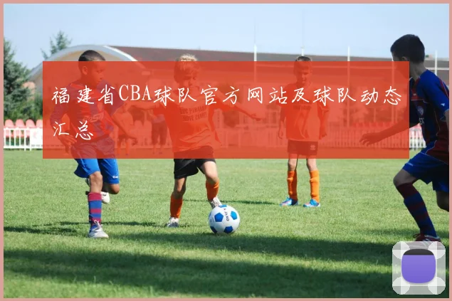 福建省CBA球队官方网站及球队动态汇总